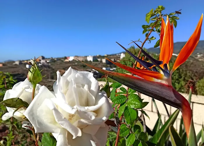 아파트 Casa Tamara Quiet Flat With Pool Great View Of The Mountains And The Sea