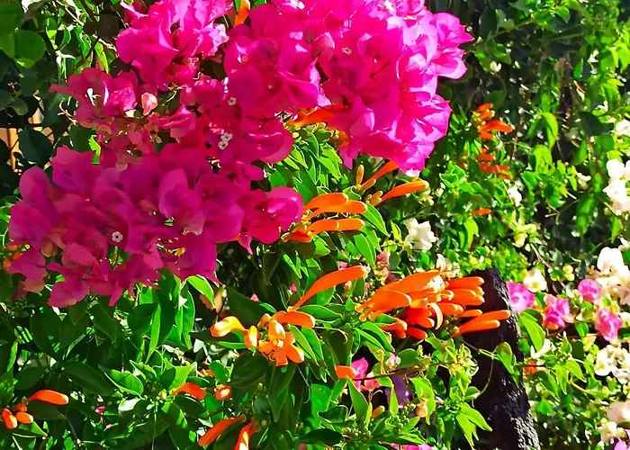 Casa Tamara Quiet Flat With Pool Great View Of The Mountains And The Sea *