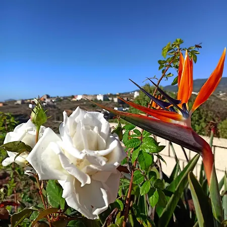 Appartement Casa Tamara Quiet Flat With Pool Great View Of The Mountains And The Sea